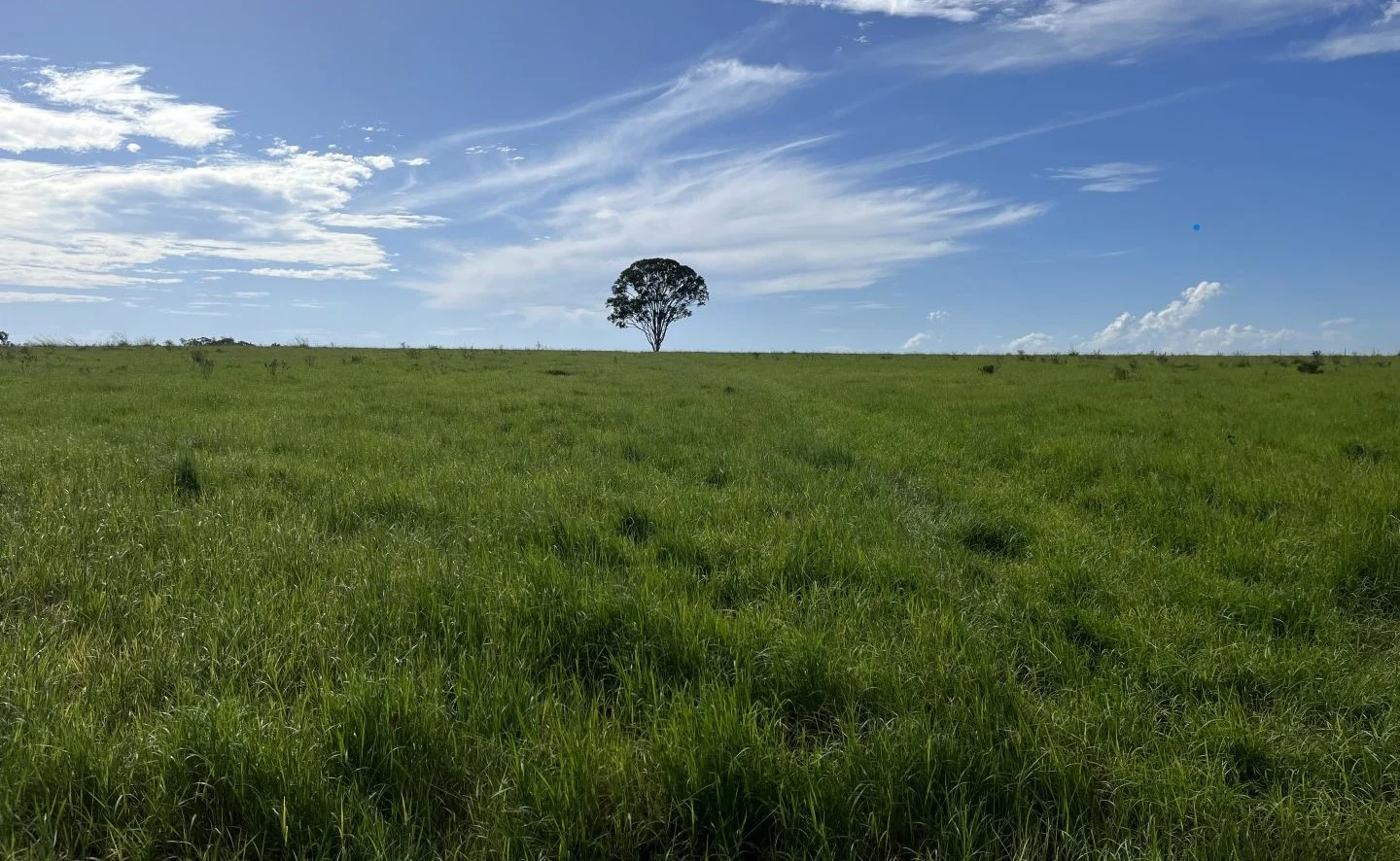 Additional image 10 of Bruce Highway, Ilbilbie QLD 4738