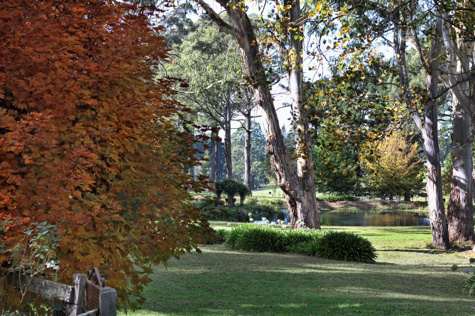 Additional image 25 of 123 Hesket-Boundary Road, Hesket VIC 3442