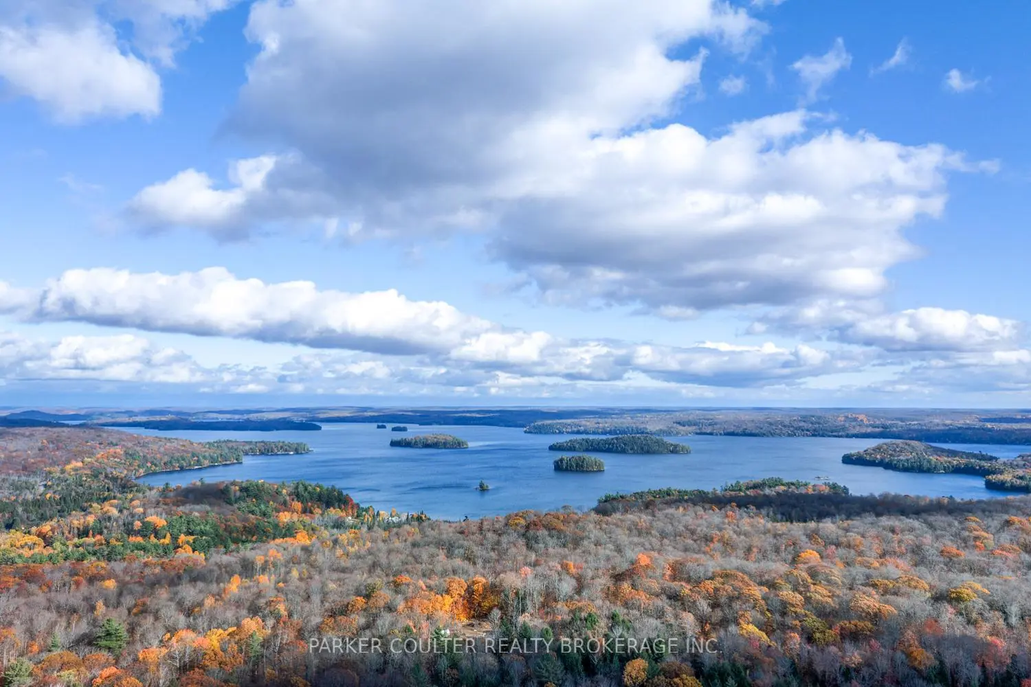 561 White House Road