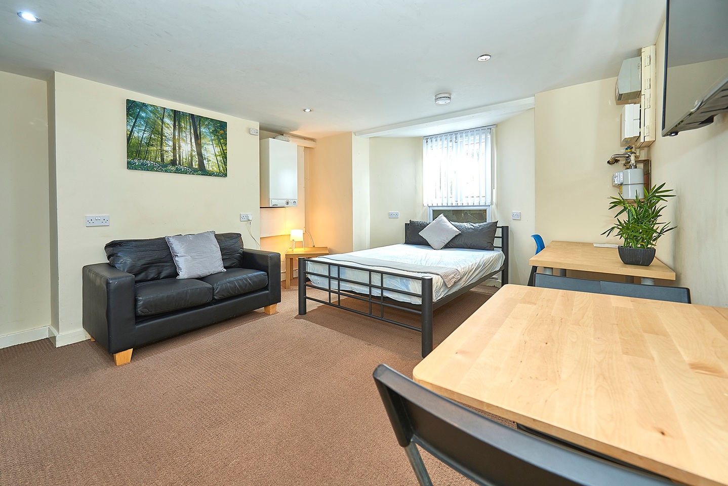 Studio Flat, Carlton Road, M6, N1 7GU