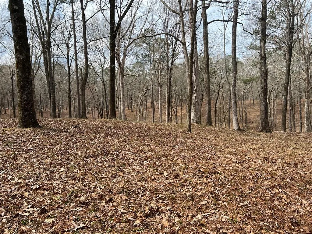 Additional image 19 of Preswick Drive Road, Phenix City, AL 36867