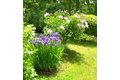 Additional image 39 of 36 Island St, East Dennis, MA, 02641
