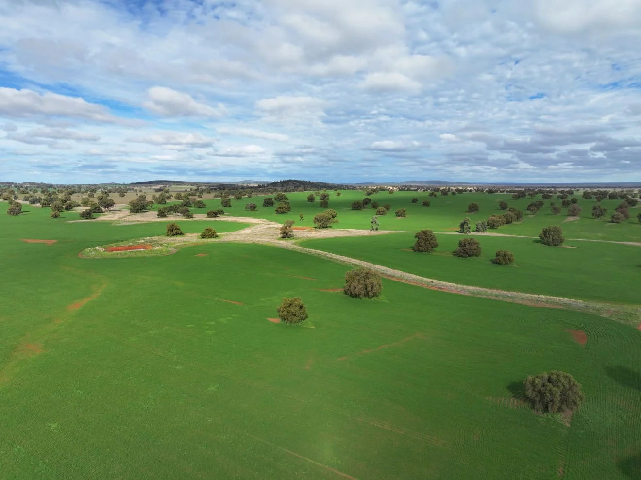 Additional image 12 of "Roseleigh" Roseleigh Road, Trundle NSW 2875