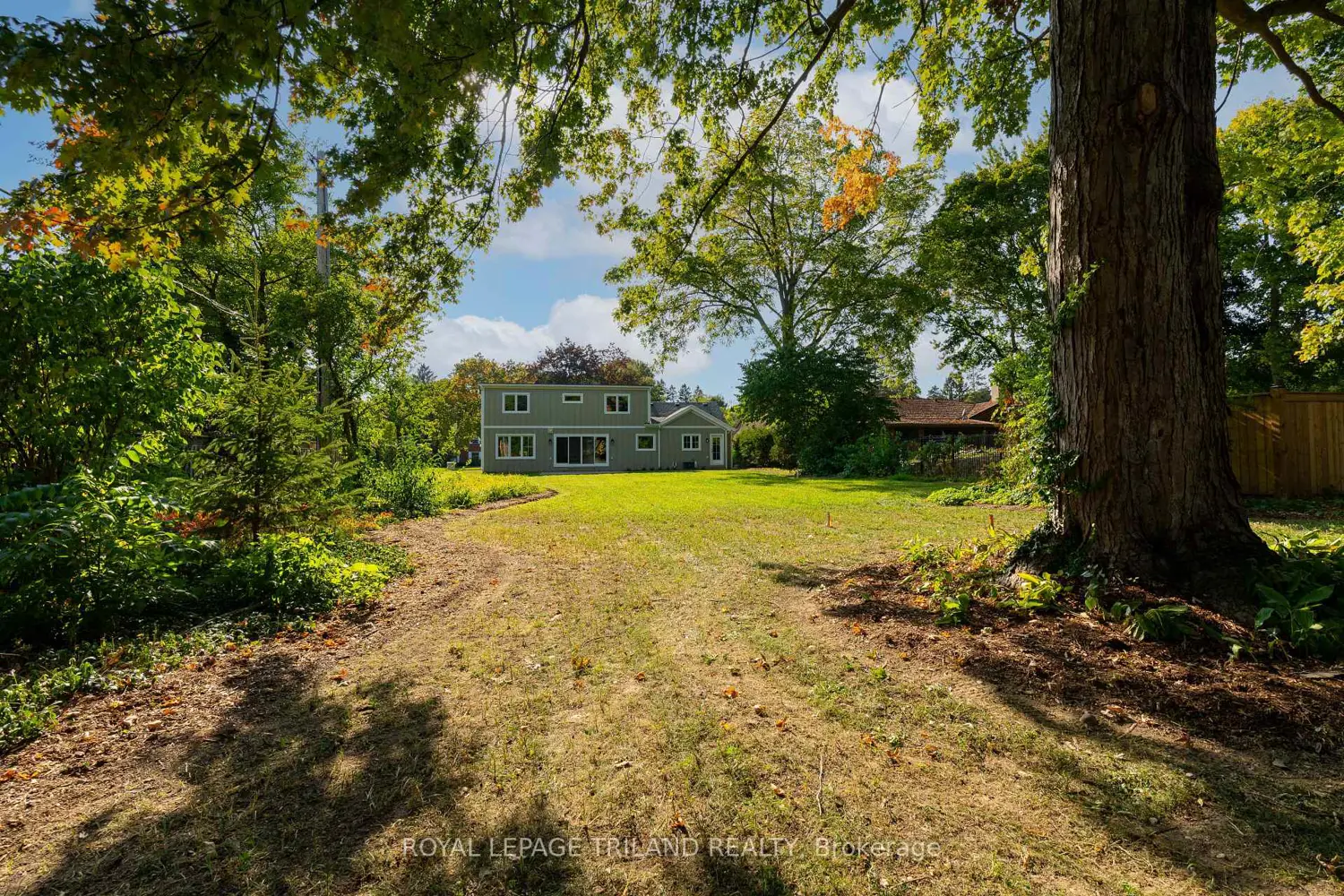 Additional image 17 of 520 Canterbury Road