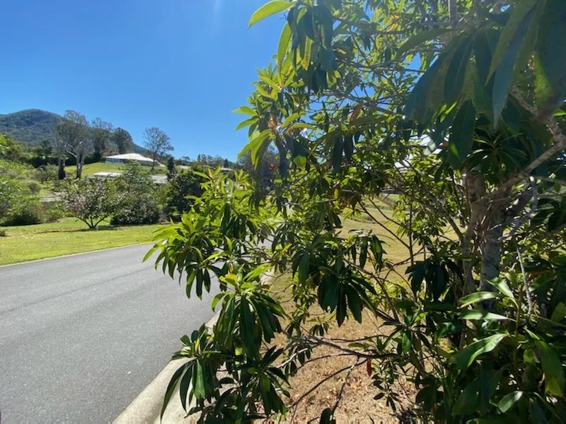 Additional image 11 of Samford Valley QLD 4520