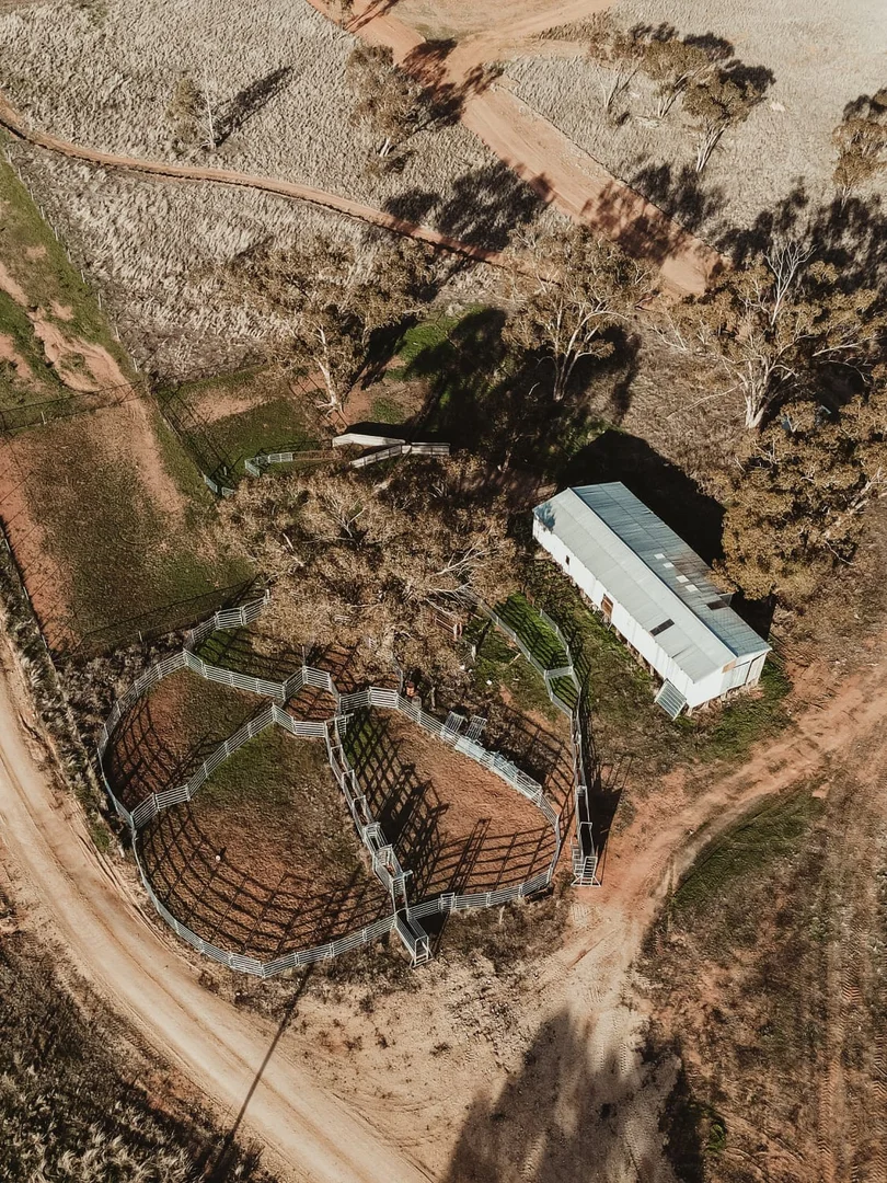 Additional image 24 of 'Glenkerry' 492 Eremeran Road, Condobolin NSW 2877