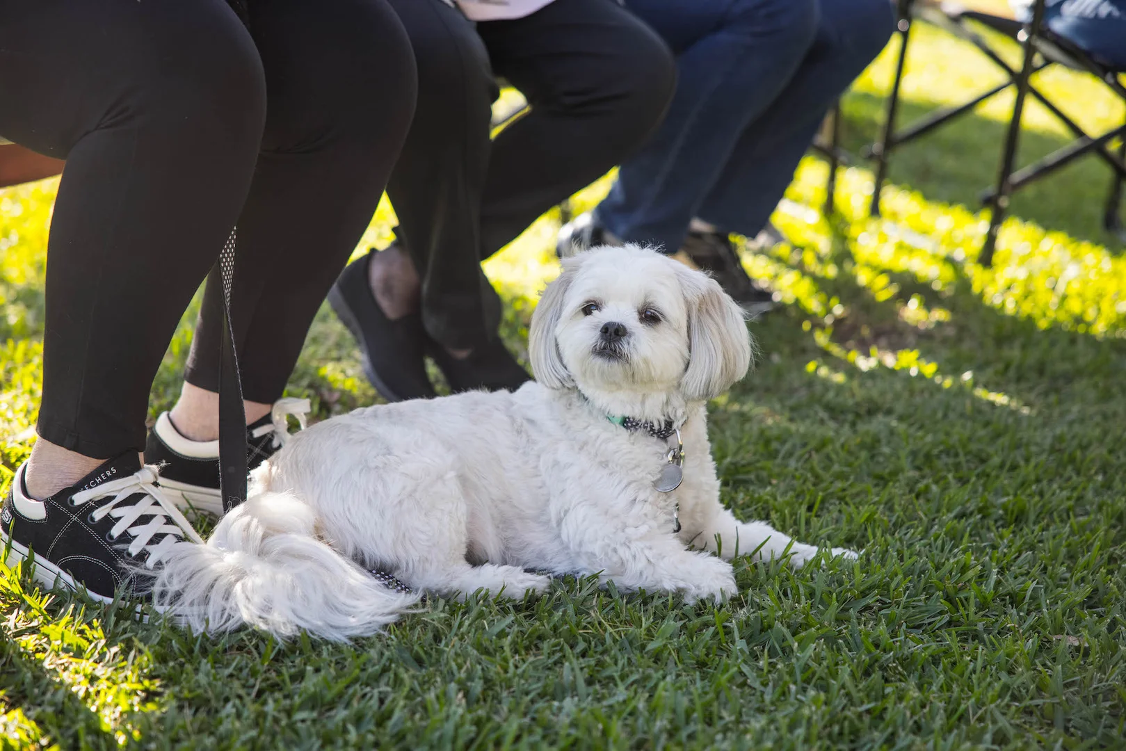 Additional image 7 of 29 Arthur Street, Mayfield NSW 2304