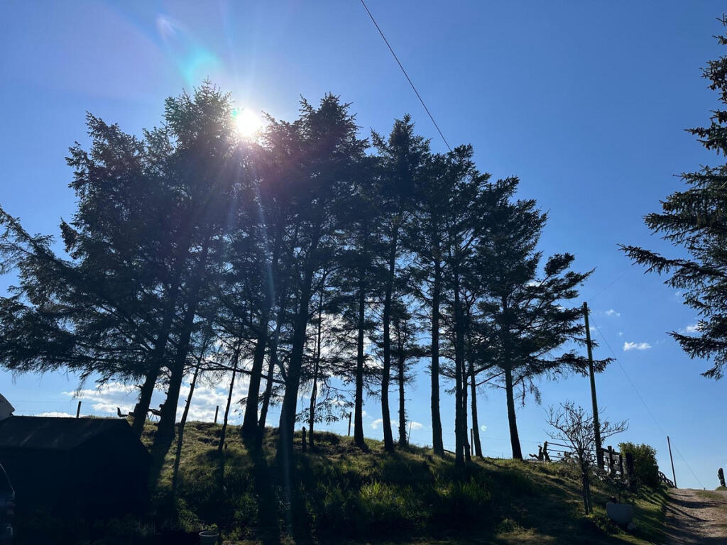 Additional image 26 of Cross Slacks, Banff, AB45