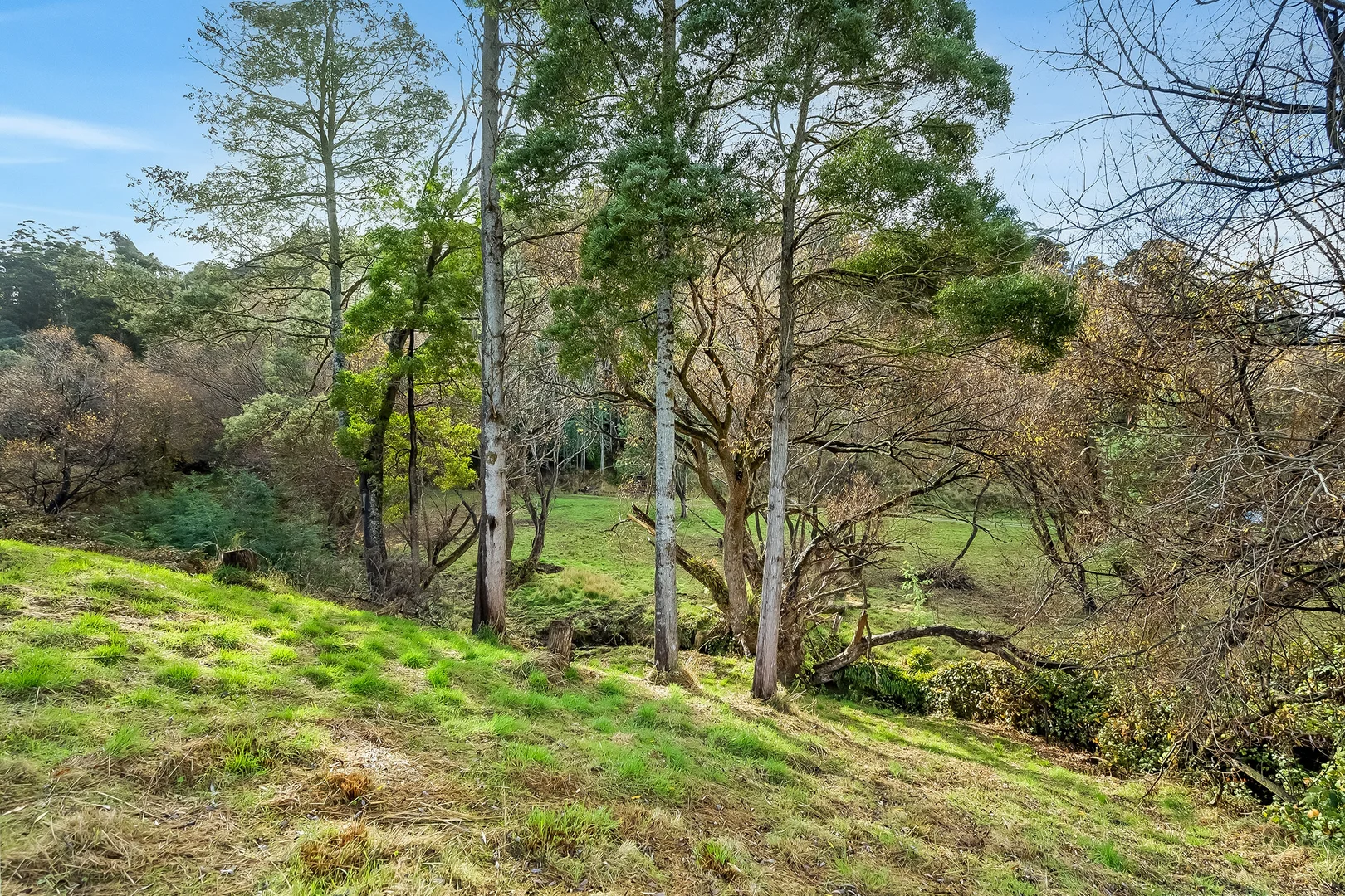 Additional image 9 of Lot 3 New Road, Franklin TAS 7113