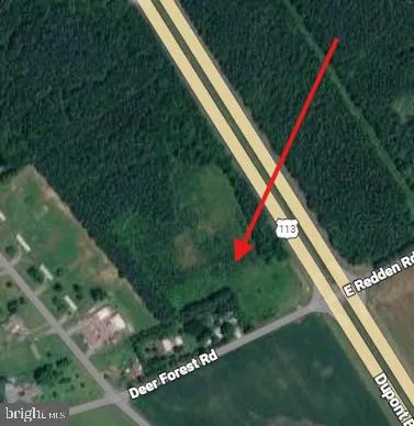 Additional image 6 of Rt 113 And Deer Forest Rd, Georgetown, DE 19947