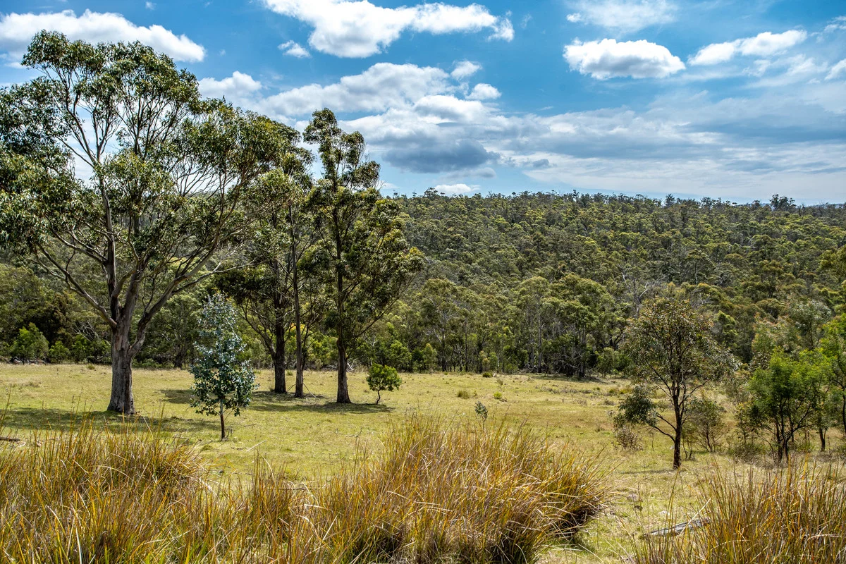 Additional image 16 of 2/10923 Tasman Highway, Little Swanport TAS 7190