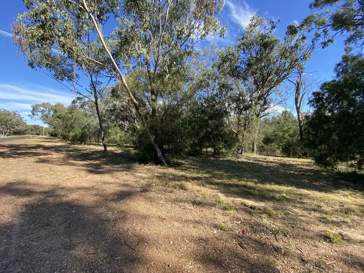 Additional image 6 of 3 Denora Avenue, Gunnedah NSW 2380