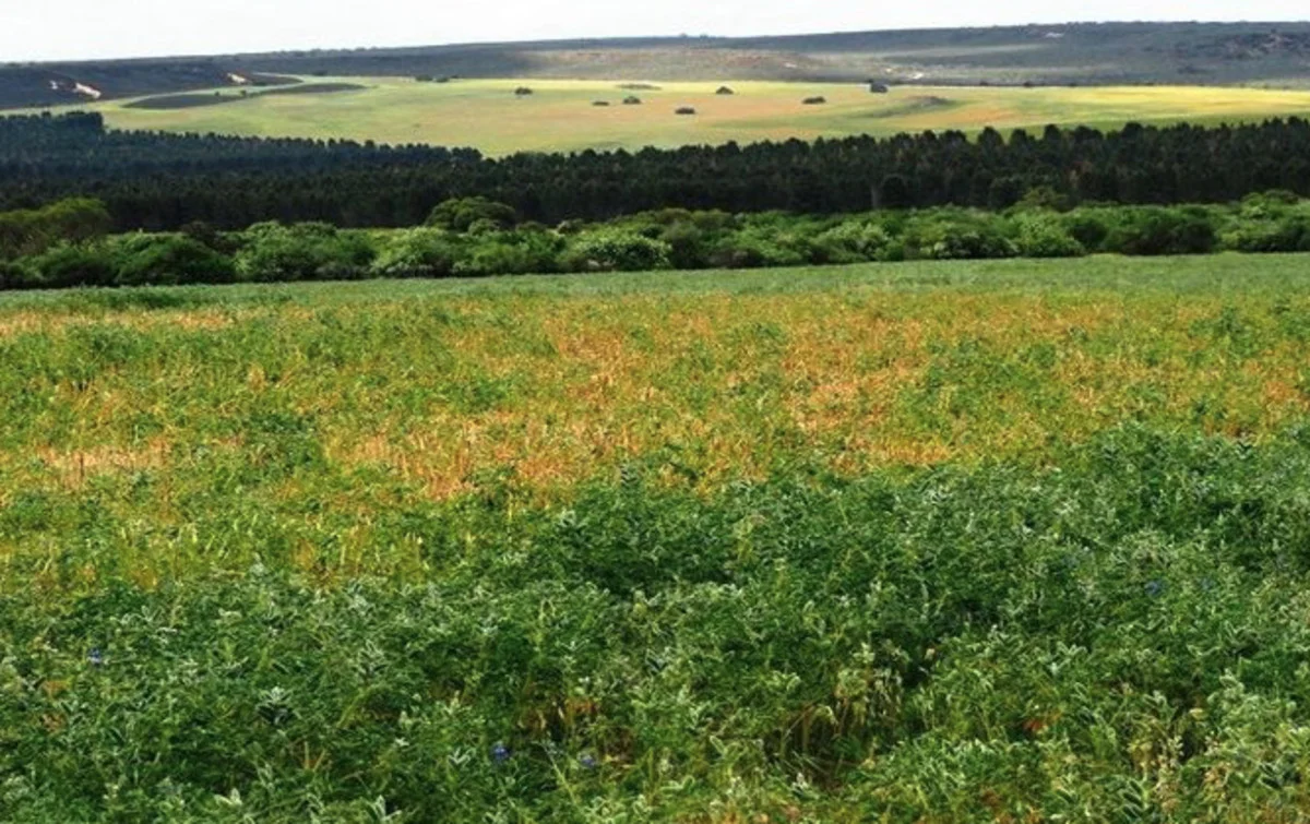 Additional image 9 of Contact Agent, Warradarge WA 6518