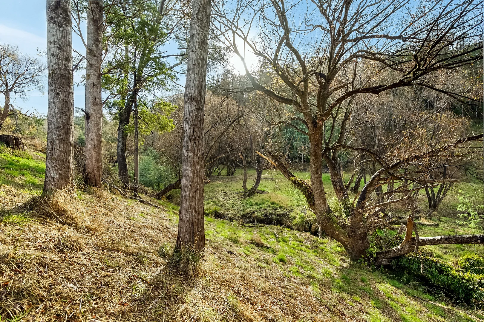 Additional image 4 of Lot 3 New Road, Franklin TAS 7113