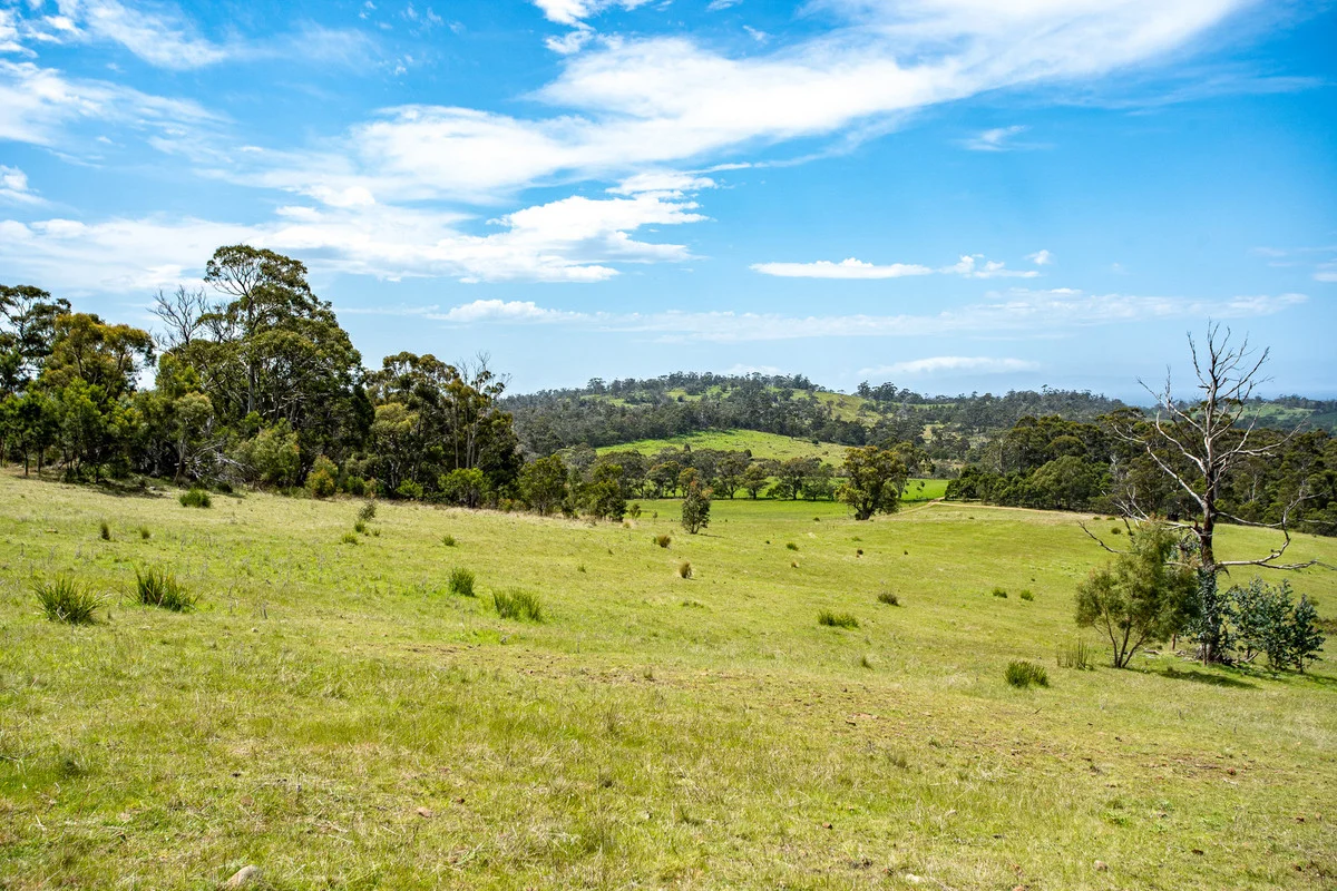 Additional image 19 of 2/10923 Tasman Highway, Little Swanport TAS 7190