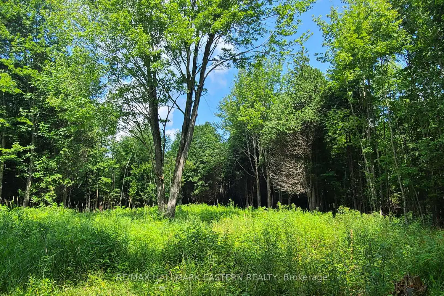 Additional image 13 of N/A Keating Road