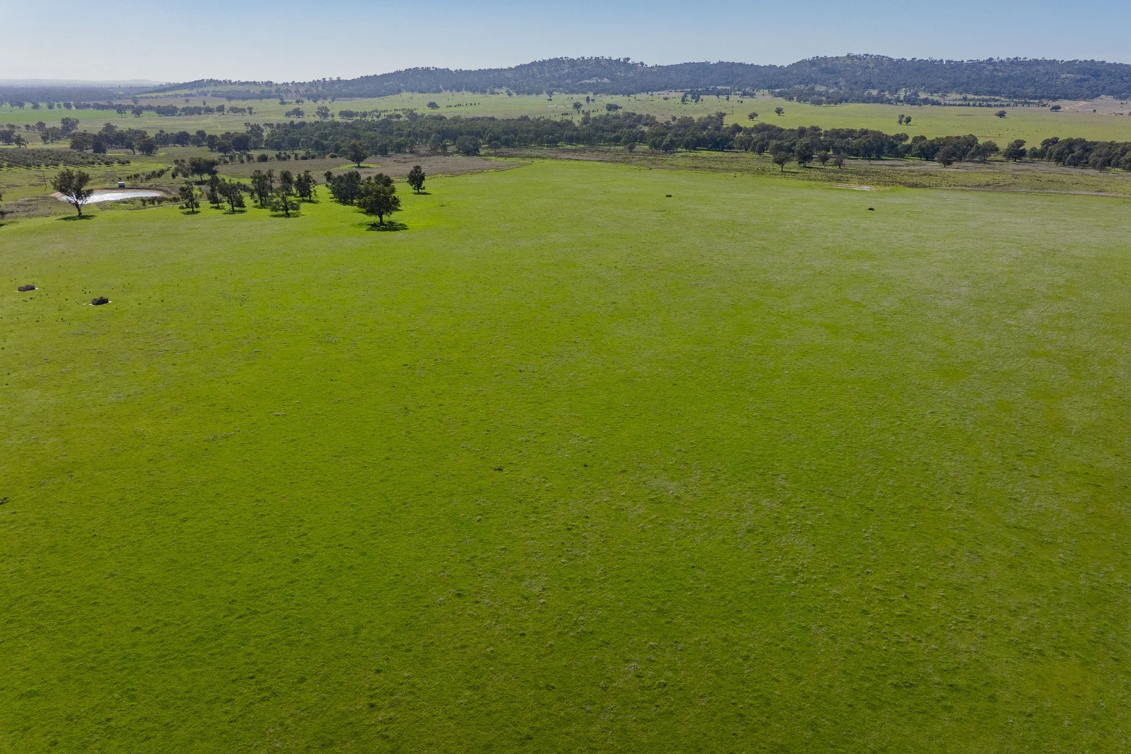 Additional image 69 of 277 Cloughs Road, Yarragundry NSW 2650