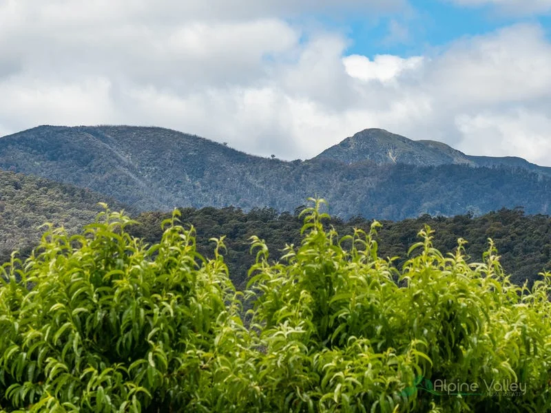 Additional image 3 of 31 Valley Avenue, Mount Beauty VIC 3699