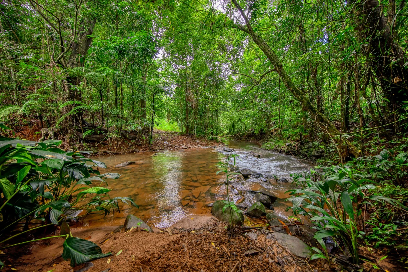 Additional image 29 of 546 Utchee Creek Road, Utchee Creek QLD 4871