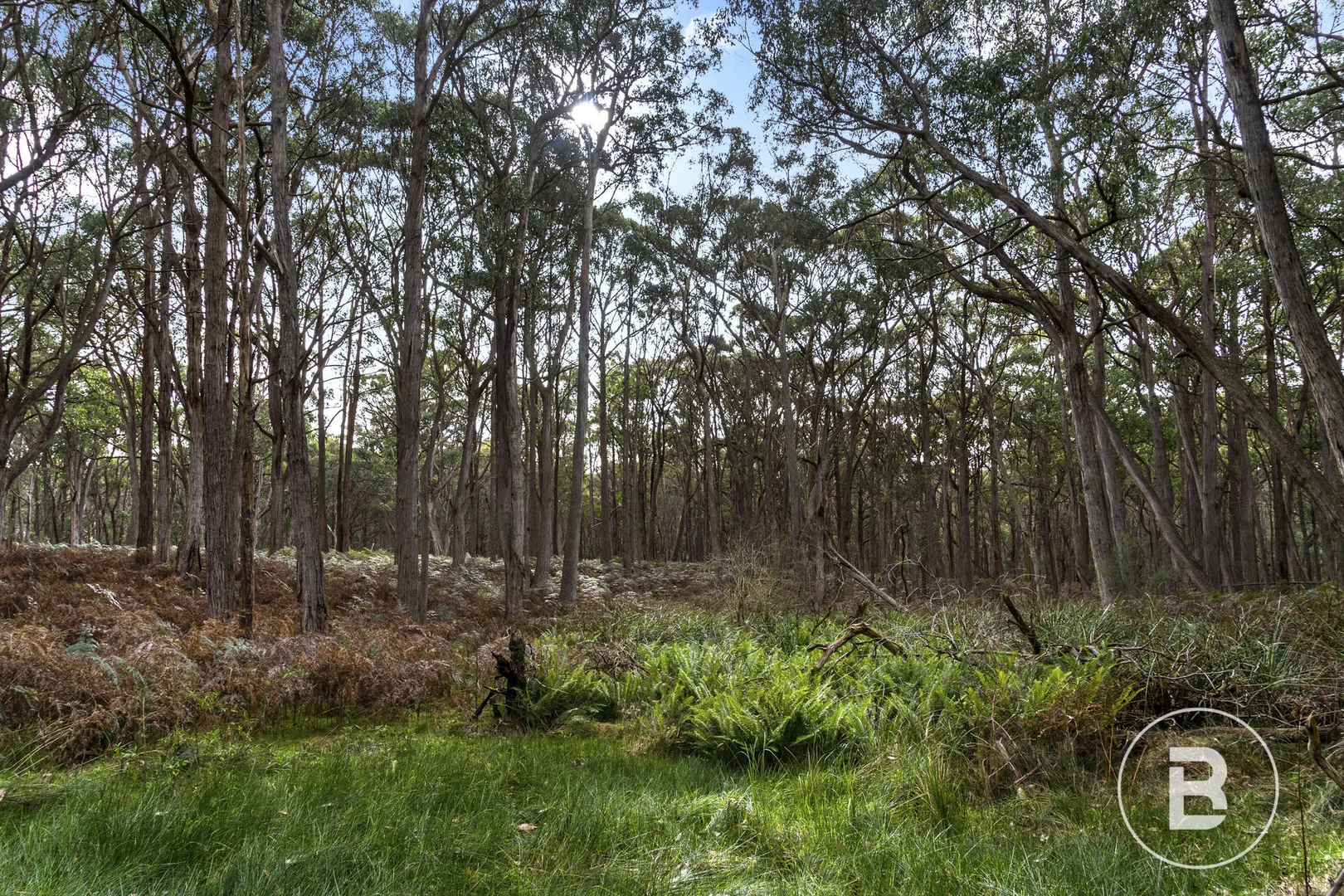 Additional image 7 of Lot 1 Cnr Abbington Park Road & Rob Roy Lane, Gordon VIC 3345