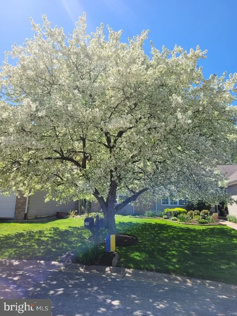 Additional image 44 of 26 Addicks Court, Wilmington, DE 19808