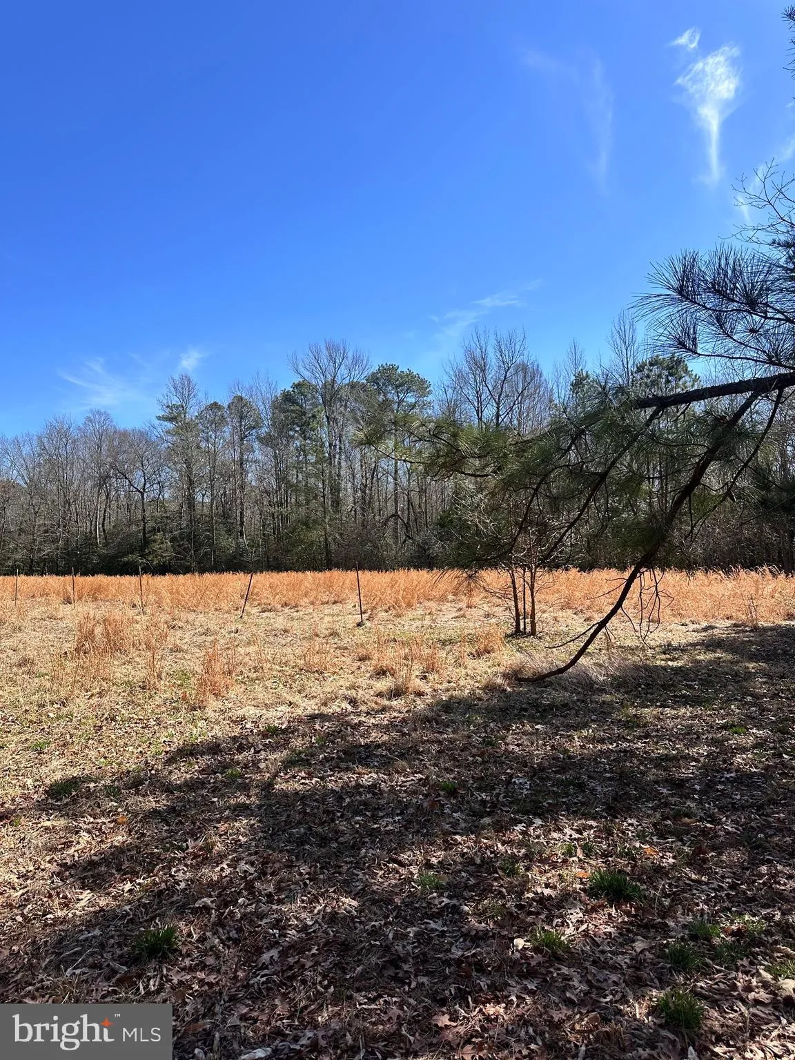 Additional image 35 of 2968 Reynolds Road, Milford, DE 19963