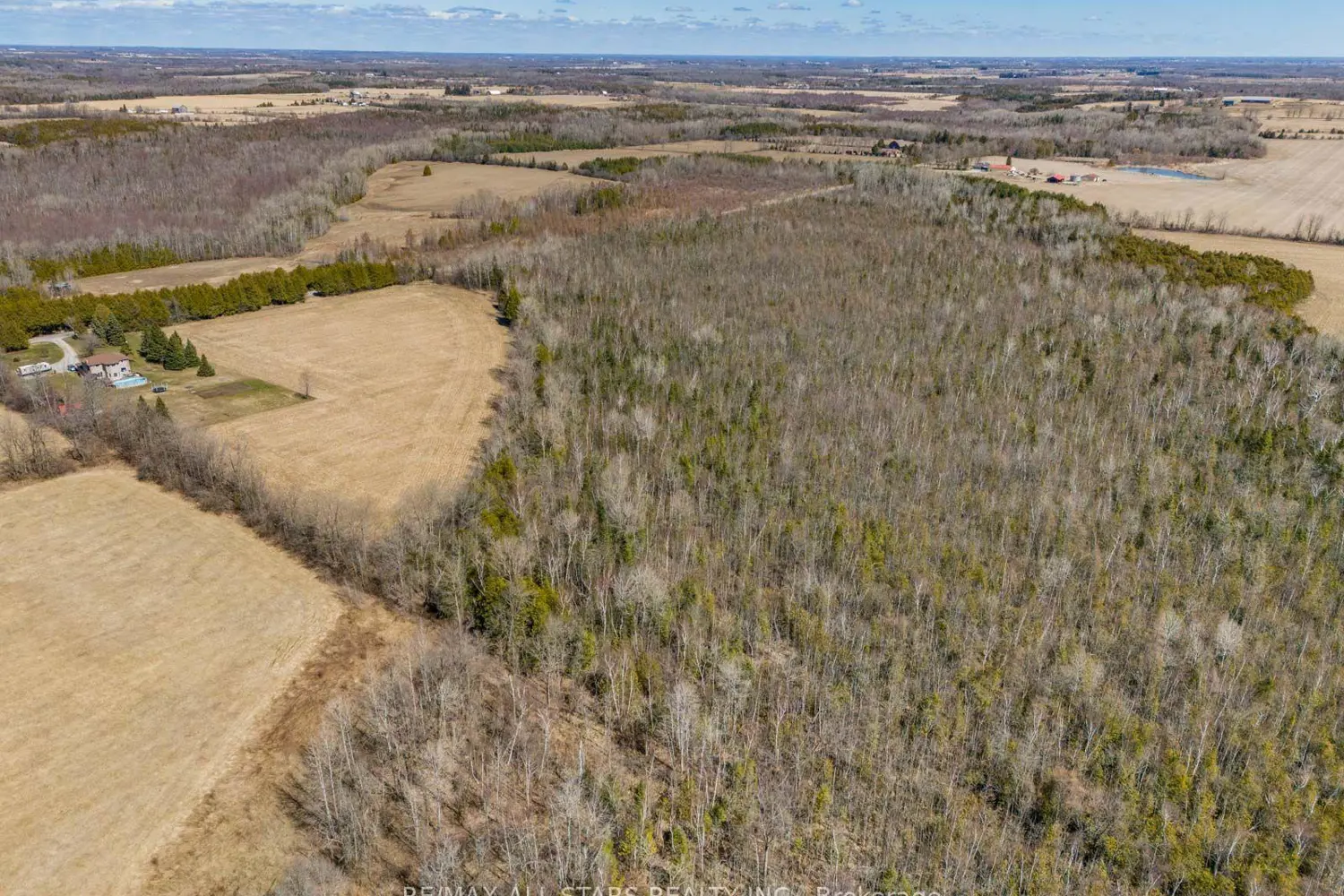 Additional image 6 of 201 Royal Oak Road