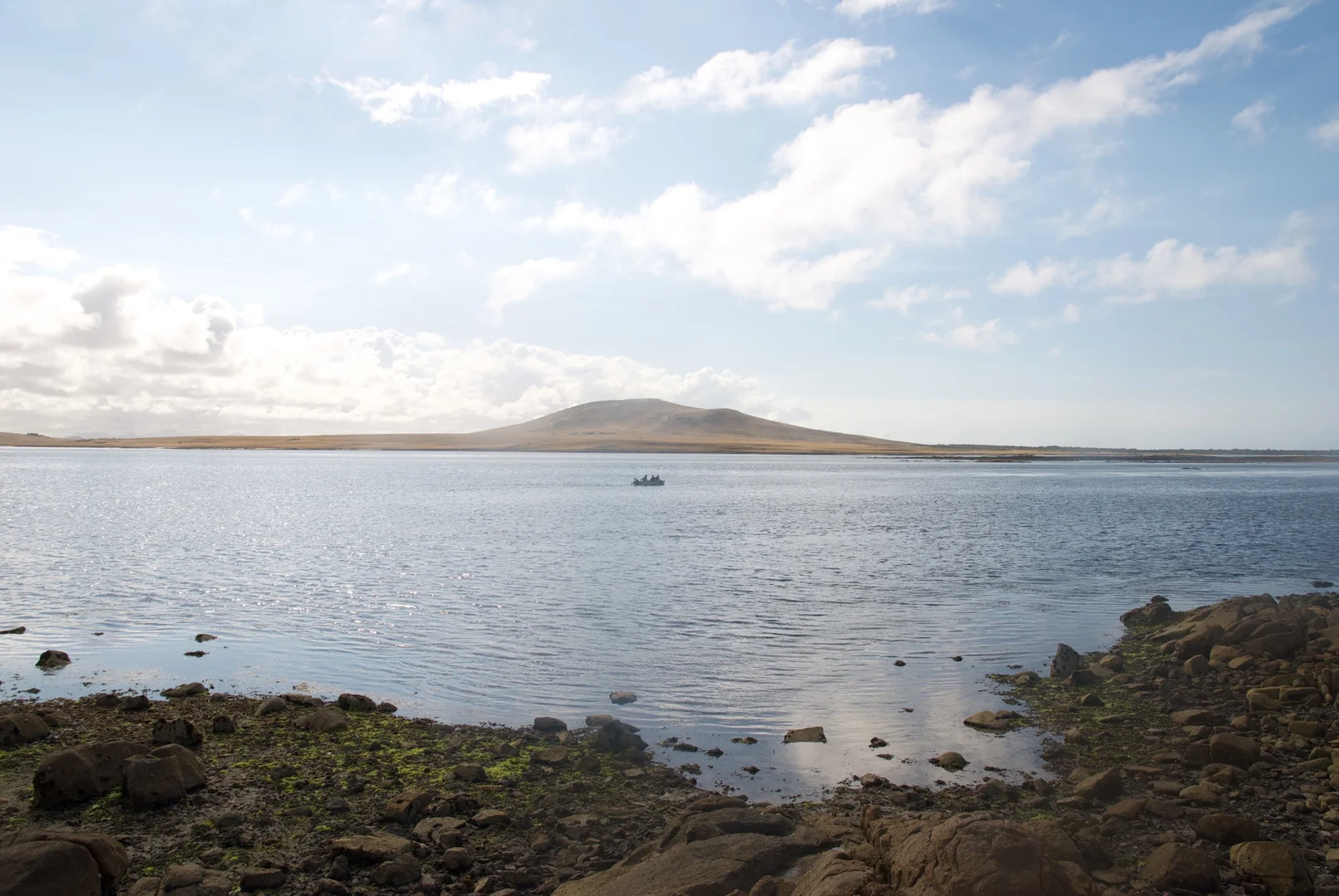 Additional image 18 of . Puncheon Island, Lady Barron TAS 7255