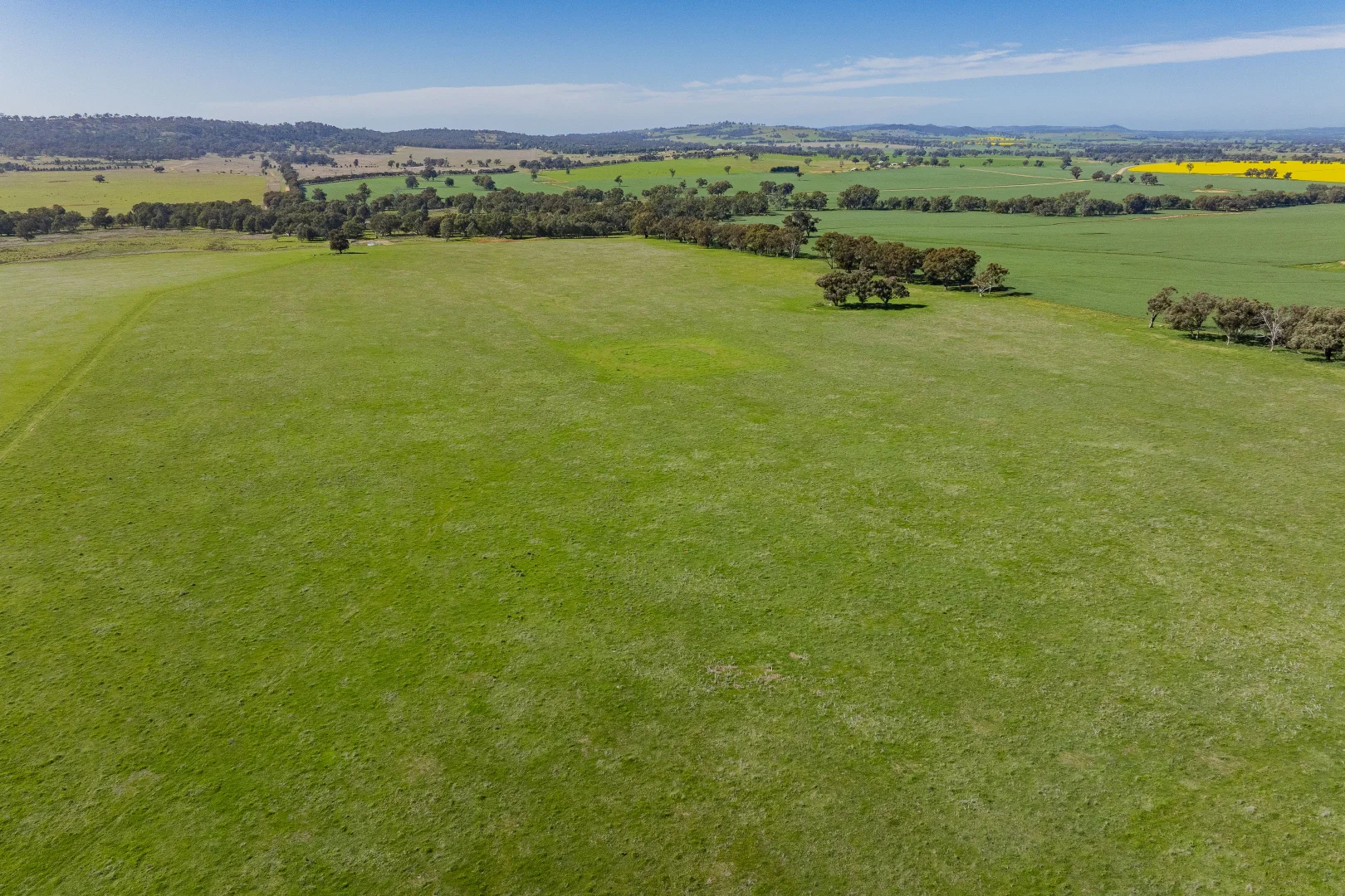 Additional image 67 of 277 Cloughs Road, Yarragundry NSW 2650