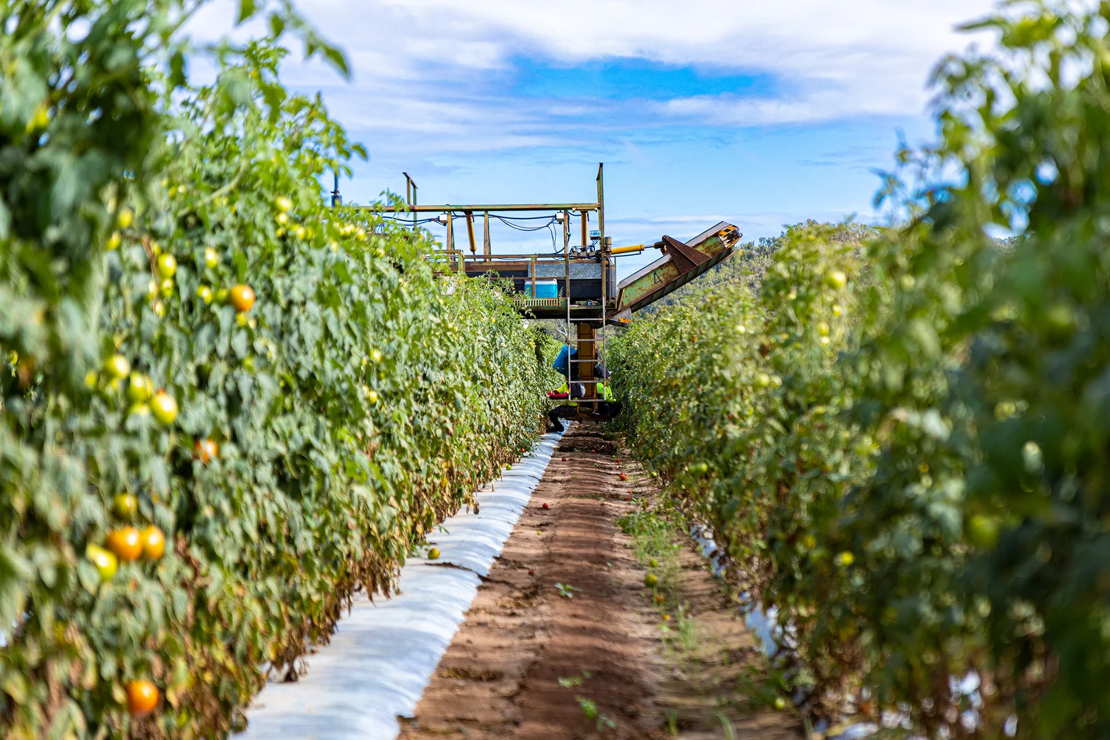 Additional image 6 of Bowen QLD 4805