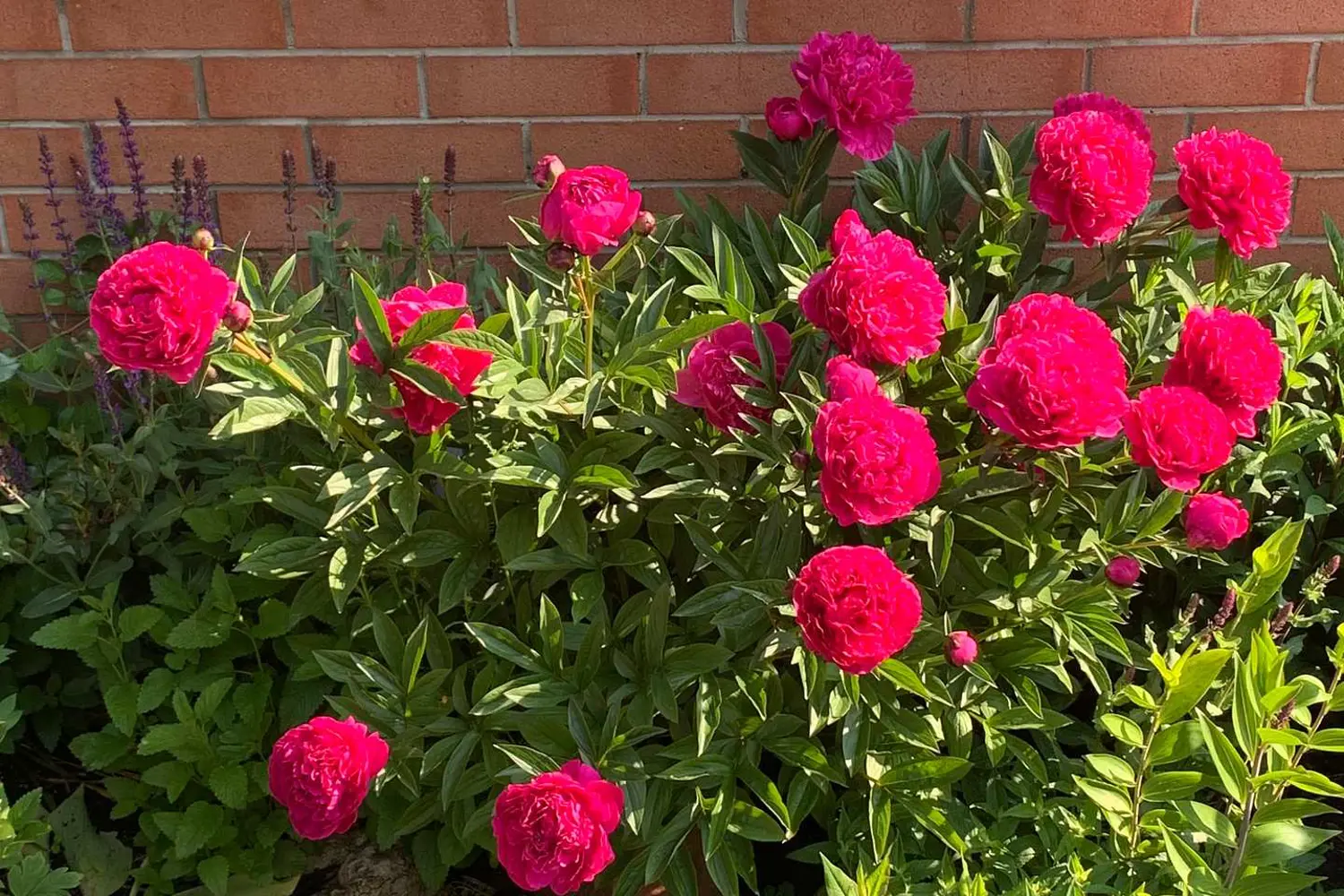 Additional image 8 of 2286 Yorktown Circle