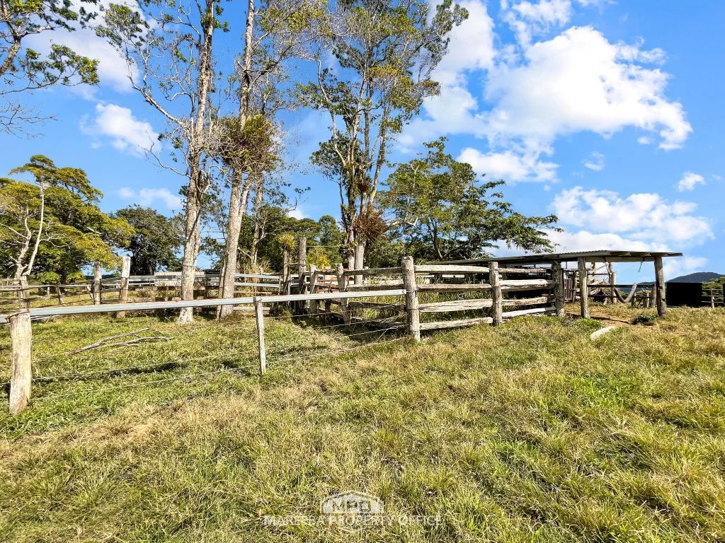 Additional image 9 of 1181 Mossman-Mount Molloy Road, Julatten QLD 4871
