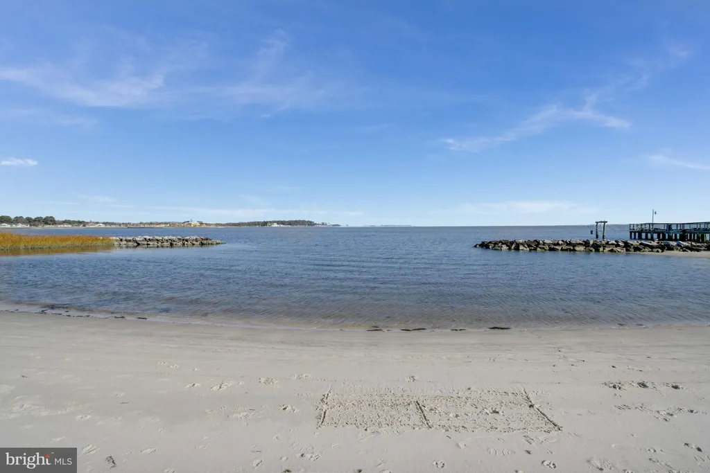 Additional image 99 of 22106 S Preservation Drive, Millsboro, DE 19966