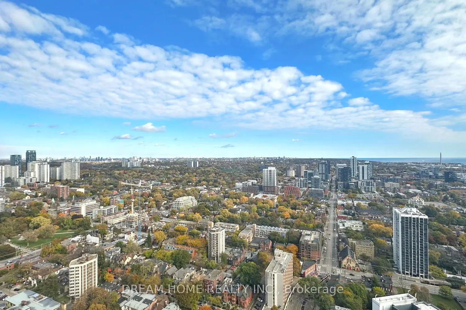 Additional image 11 of 251 Jarvis Street 4313