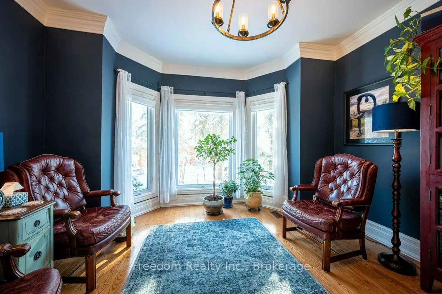 14 Jarvis Street photo 4