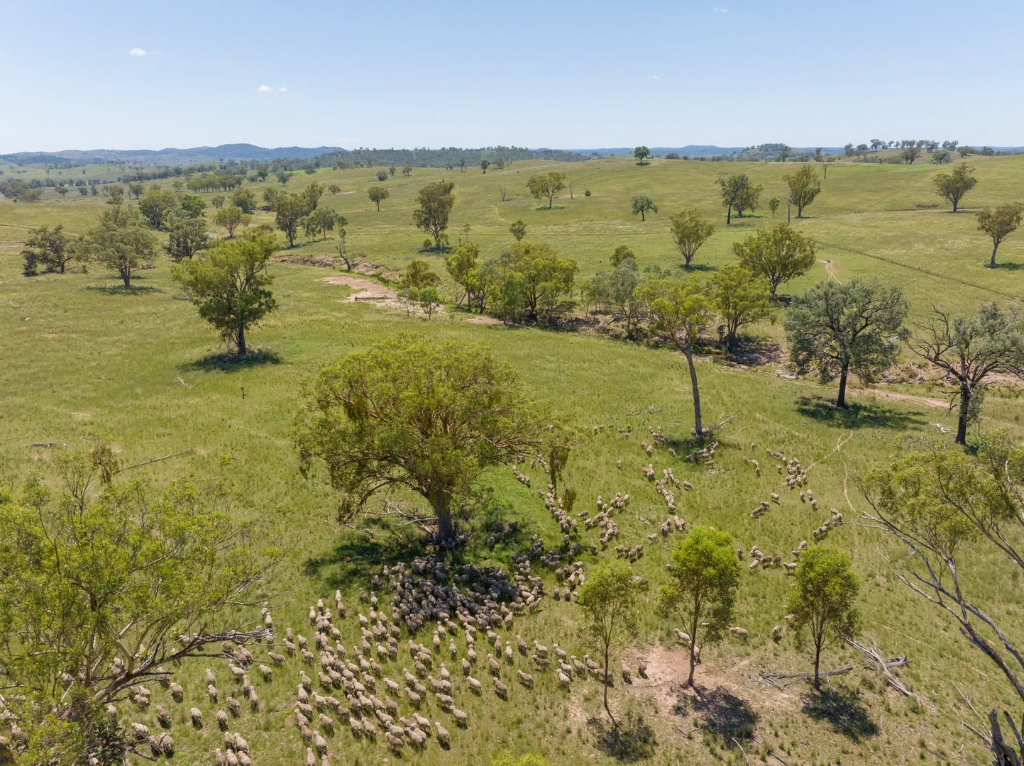 Additional image 5 of 737 Bukkulla Road, Ashford NSW 2361