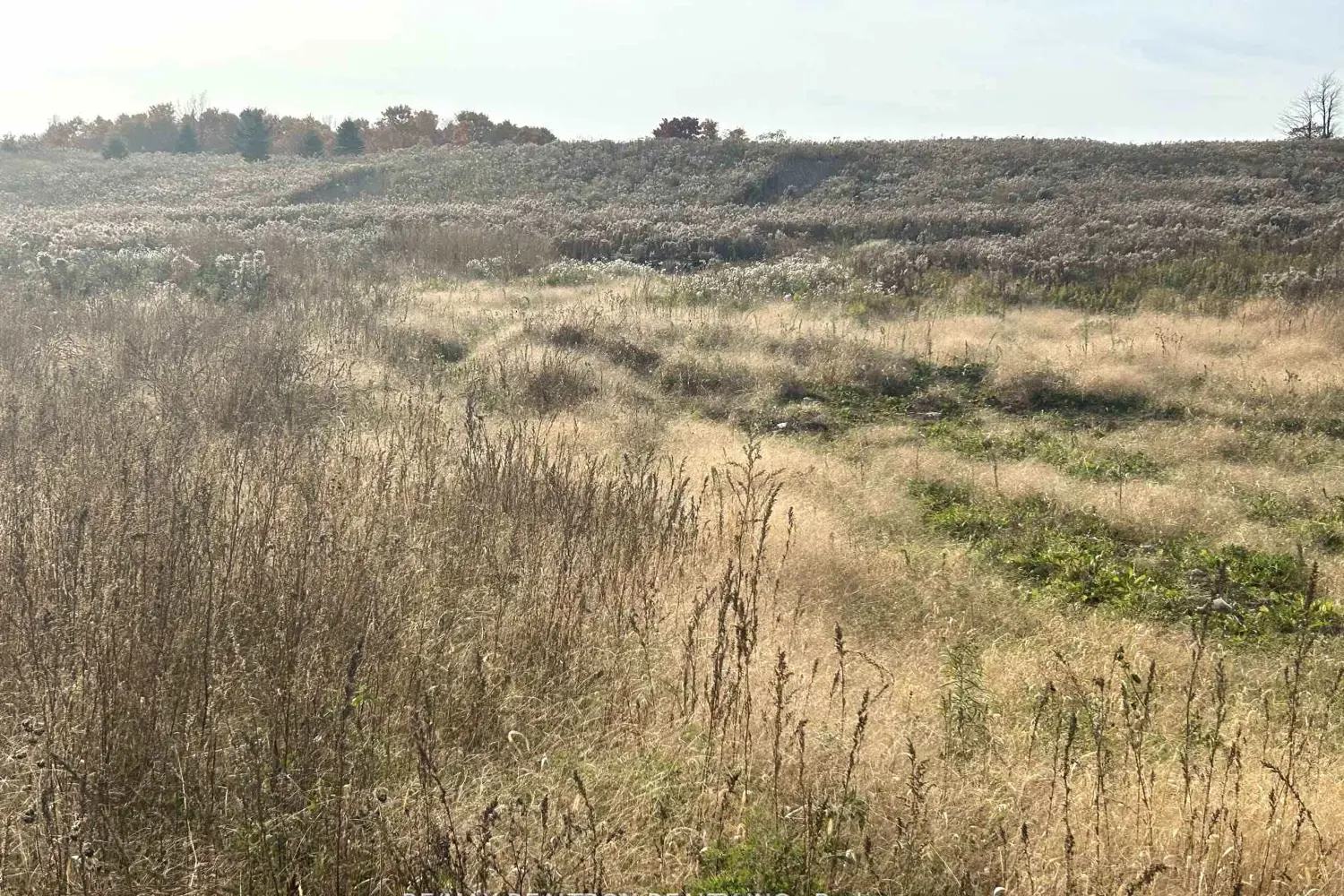 Additional image 15 of 833160 4Th Line