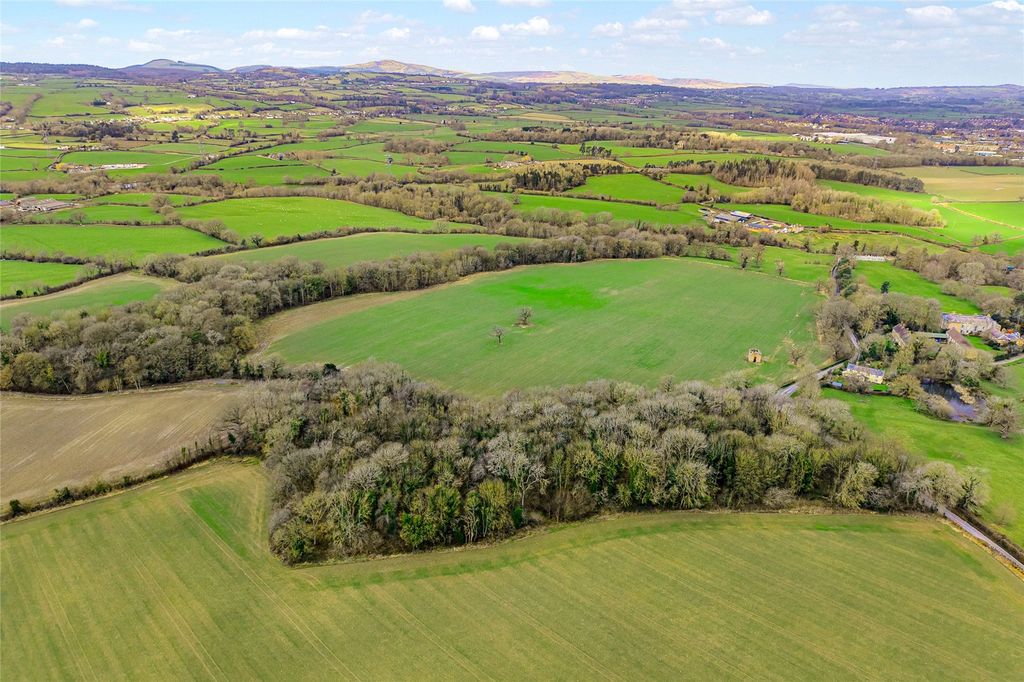 Additional image 5 of Equestrian for saleLeeswood, Mold, Flintshire CH7