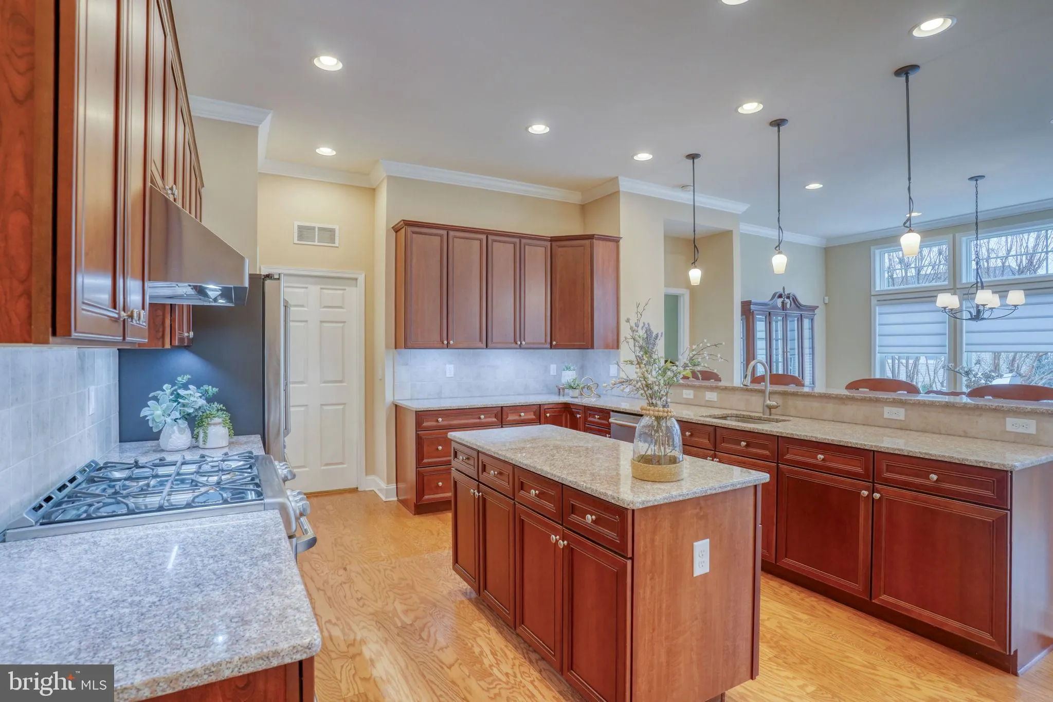 Additional image 74 of 677 Spring Hollow Drive, Middletown, DE 19709