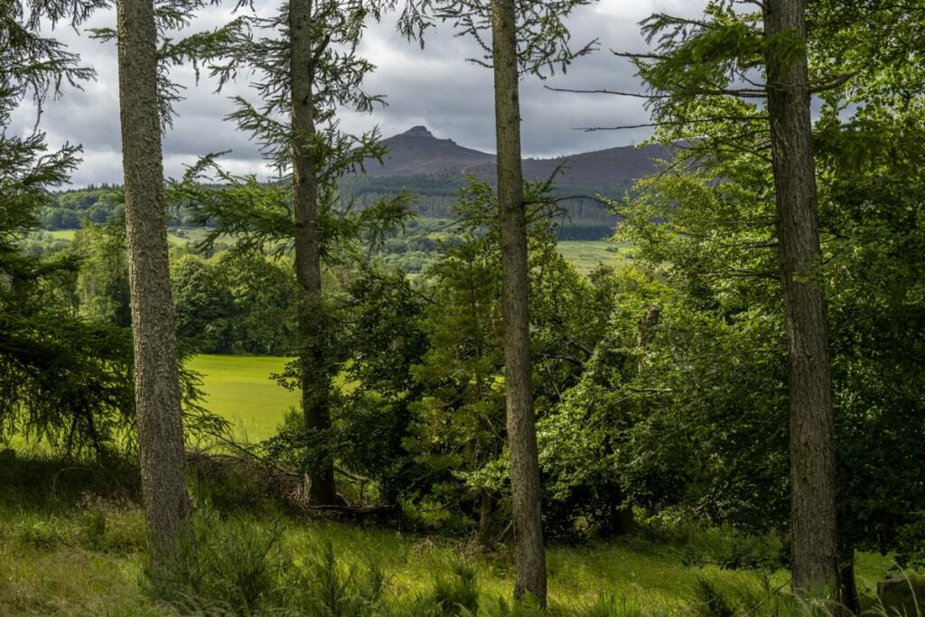 Additional image 13 of Logie Woodlands, Pitcaple, Inverurie, Aberdeenshire, AB51
