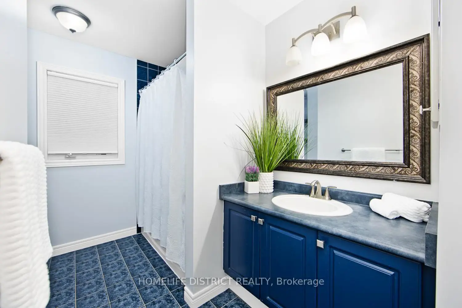 Additional image 18 of 847 Greenleaf Circle