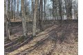 Additional image 31 of Timber Dr Lot 10, Cochecton, NY, 12726