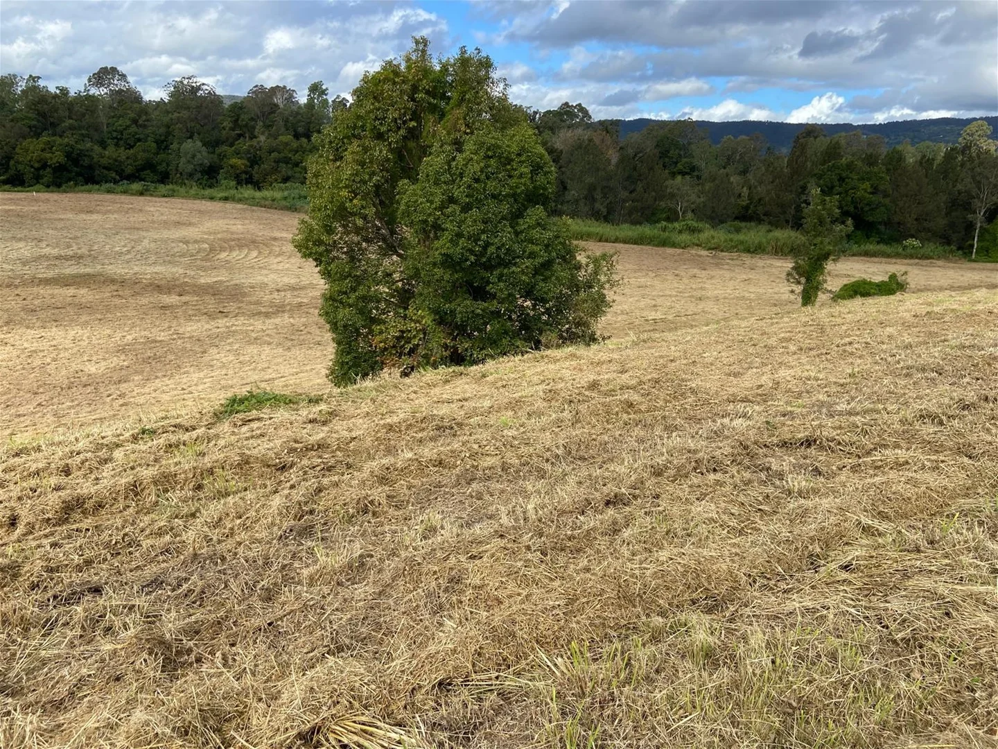 Additional image 24 of Samford Valley QLD 4520