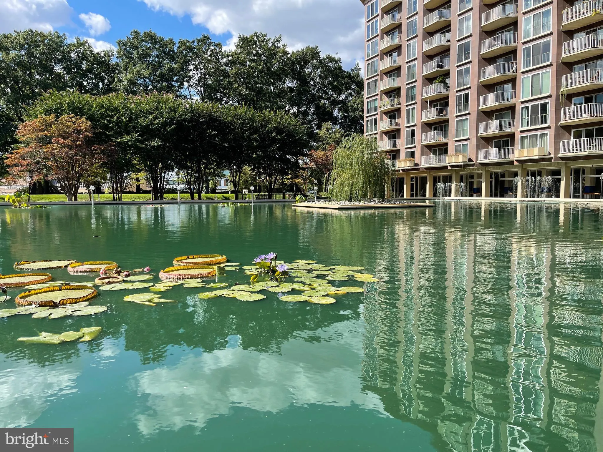 Additional image 108 of 520 N Street SW Unit S317, Washington, DC 20024