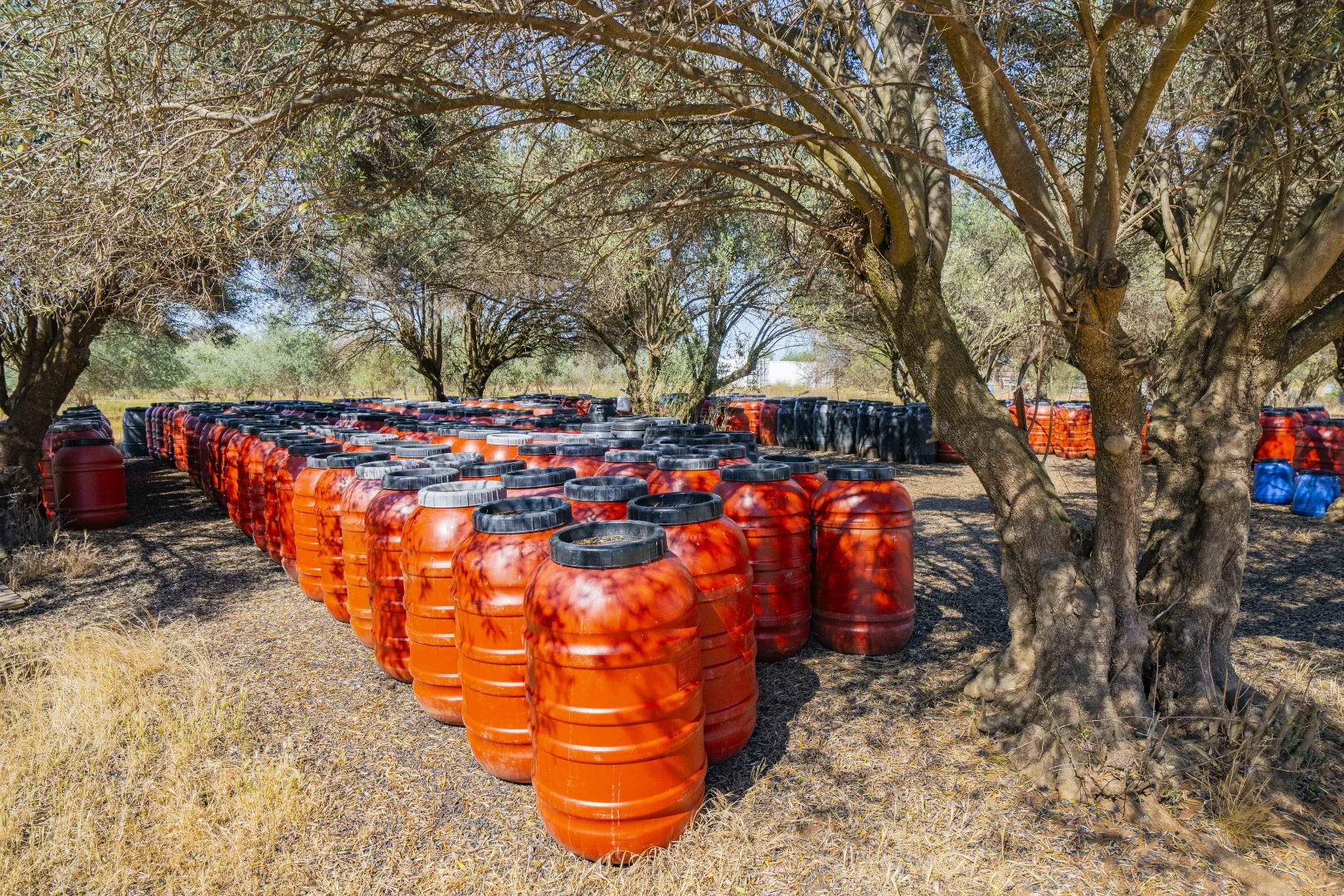 Additional image 22 of 277 Cloughs Road, Yarragundry NSW 2650