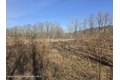 Additional image 29 of Timber Dr Lot 10, Cochecton, NY, 12726