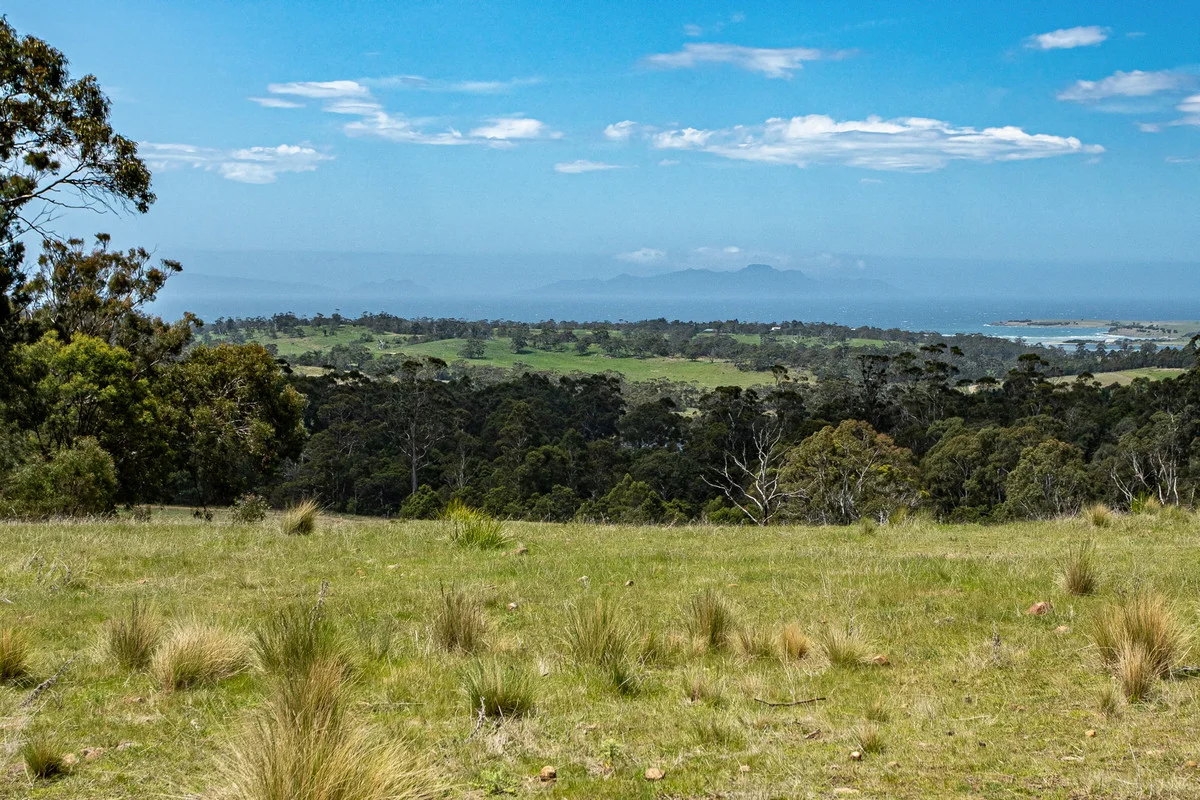 Additional image 6 of 2/10923 Tasman Highway, Little Swanport TAS 7190