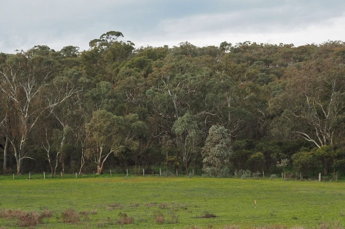 Additional image 2 of Lot 10/60 Caldwell Street, Heathcote VIC 3523