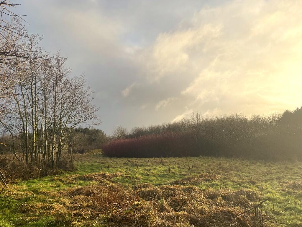 Additional image 24 of AB43