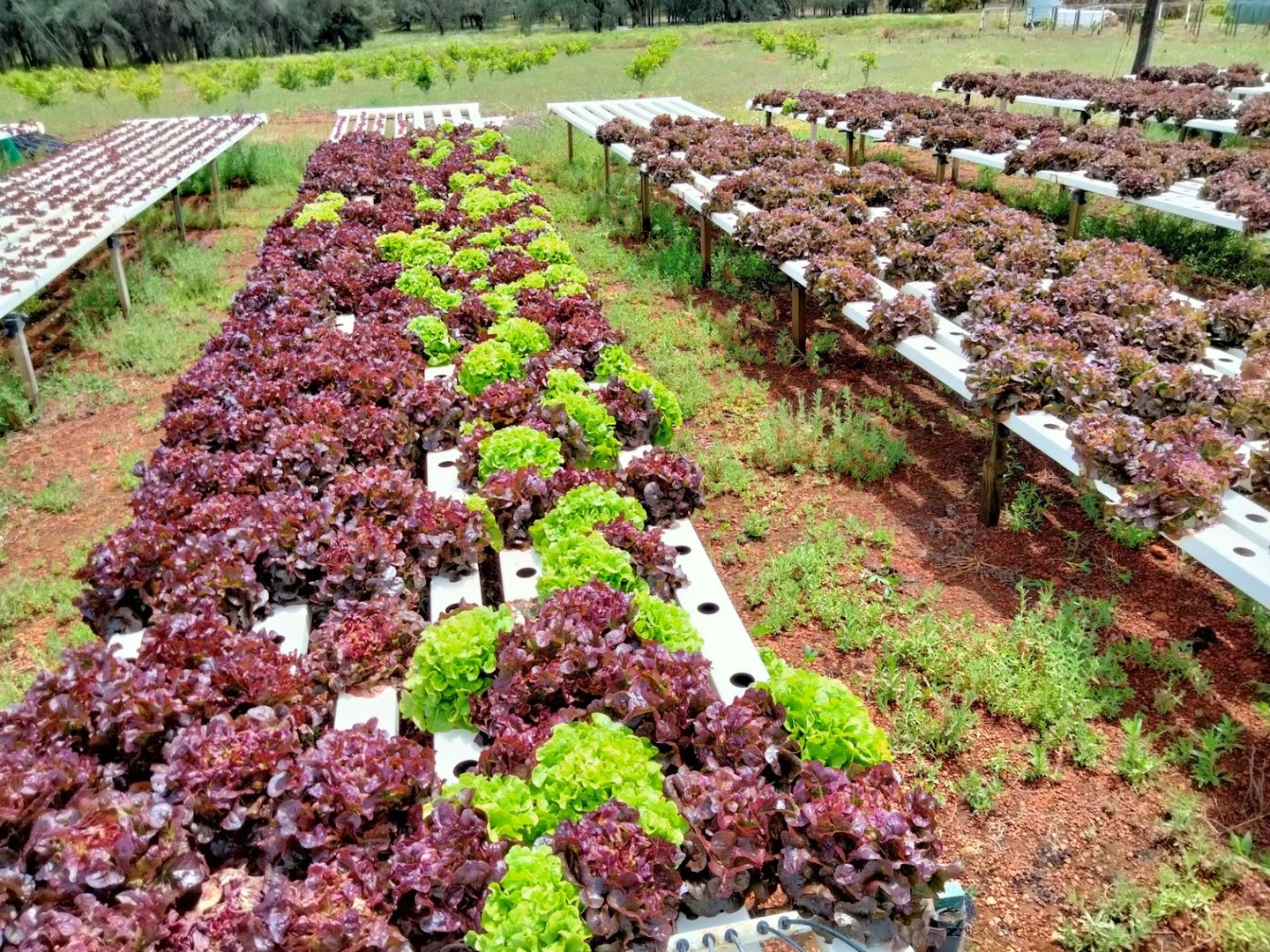 Additional image 2 of 883 Bindoon-Moora Road, Mooliabeenee WA 6504